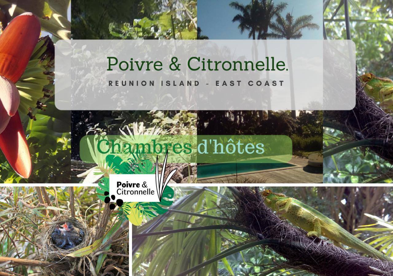 Bed and Breakfast Poivre Et Citronnelle Сент-Андре Экстерьер фото